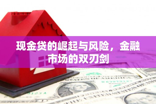 信州现金贷的崛起与风险，金融市场的双刃剑