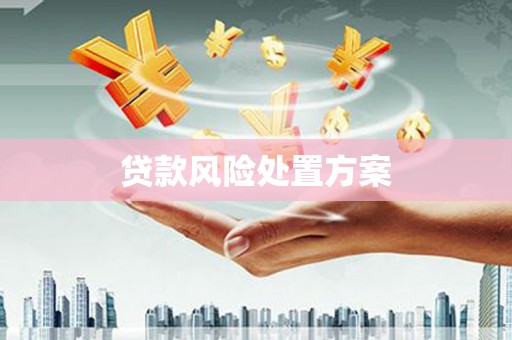 信州贷款风险处置方案