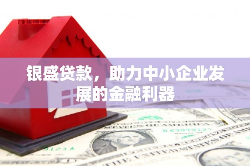 信州银盛贷款，助力中小企业发展的金融利器