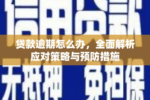 信州贷款逾期怎么办，全面解析应对策略与预防措施
