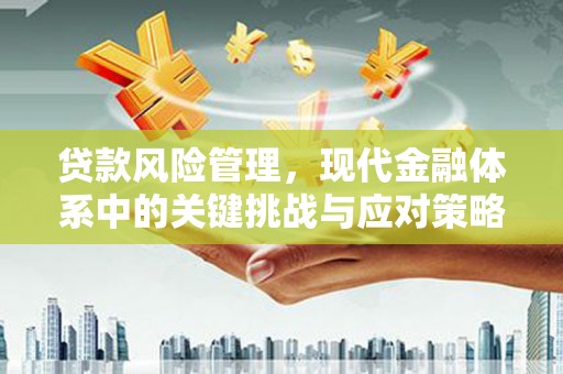 信州贷款风险管理，现代金融体系中的关键挑战与应对策略