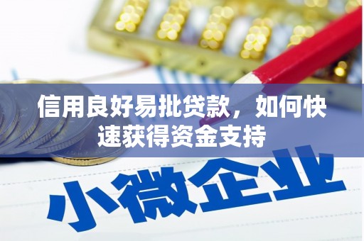 信州信用良好易批贷款，如何快速获得资金支持