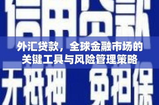 信州外汇贷款，全球金融市场的关键工具与风险管理策略