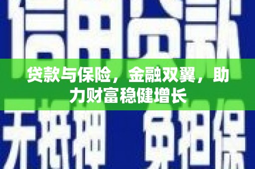 信州贷款与保险，金融双翼，助力财富稳健增长