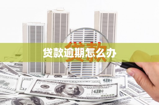信州贷款逾期怎么办