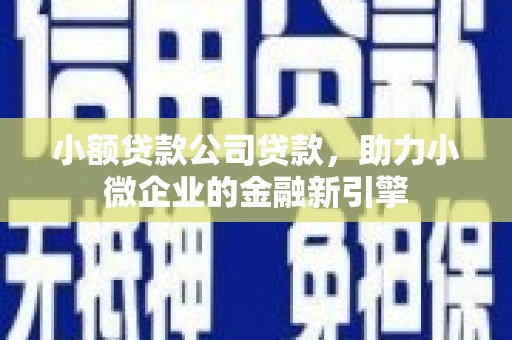 信州小额贷款公司贷款，助力小微企业的金融新引擎