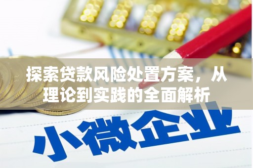 信州探索贷款风险处置方案，从理论到实践的全面解析