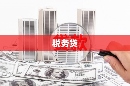 信州税务贷