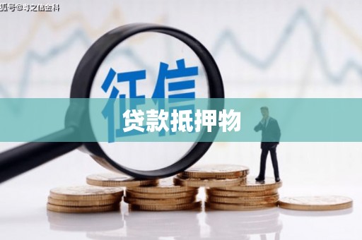 信州贷款抵押物