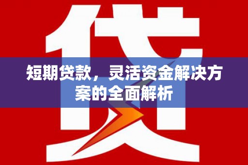 信州短期贷款，灵活资金解决方案的全面解析