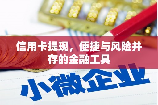 信州信用卡提现，便捷与风险并存的金融工具