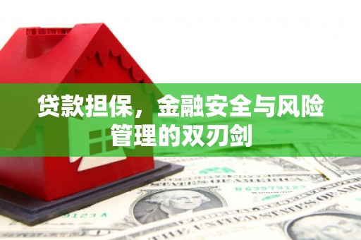 信州贷款担保，金融安全与风险管理的双刃剑