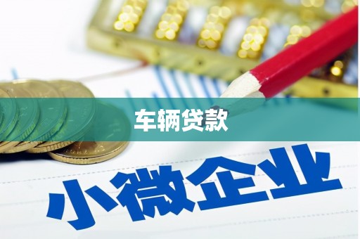 信州车辆贷款
