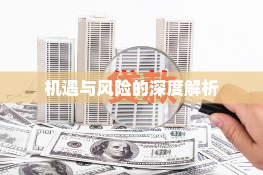 信州机遇与风险的深度解析