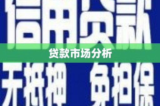 信州贷款市场分析