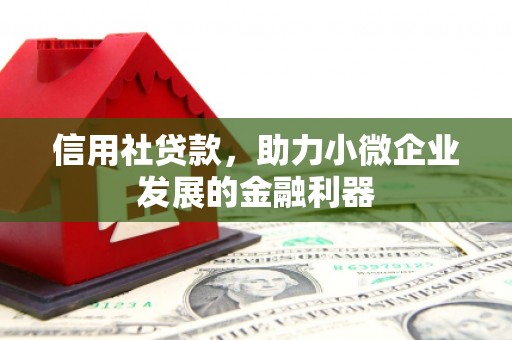 信州信用社贷款，助力小微企业发展的金融利器