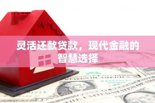 信州灵活还款贷款，现代金融的智慧选择