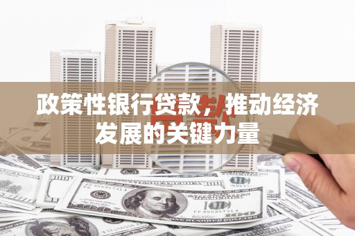 信州政策性银行贷款，推动经济发展的关键力量