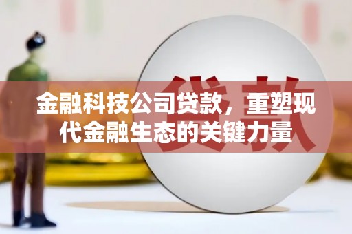 信州金融科技公司贷款，重塑现代金融生态的关键力量