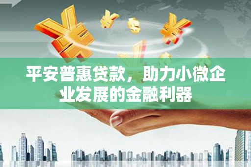 信州平安普惠贷款，助力小微企业发展的金融利器