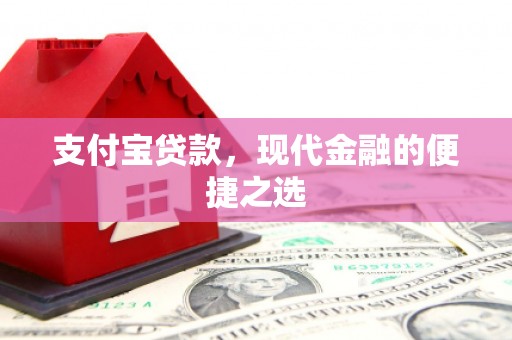 信州支付宝贷款，现代金融的便捷之选
