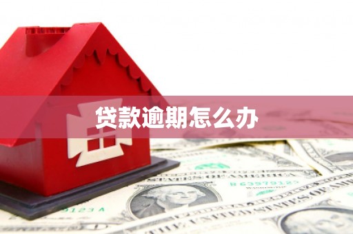 信州贷款逾期怎么办