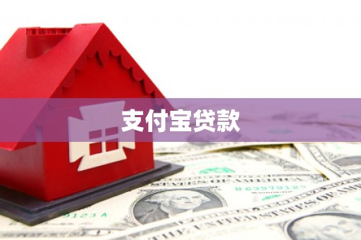信州支付宝贷款