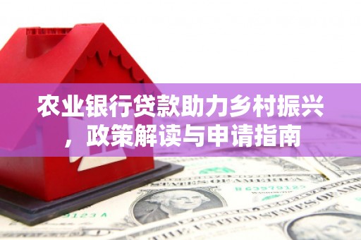 信州农业银行贷款助力乡村振兴，政策解读与申请指南