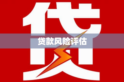 信州贷款风险评估