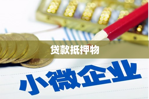 信州贷款抵押物