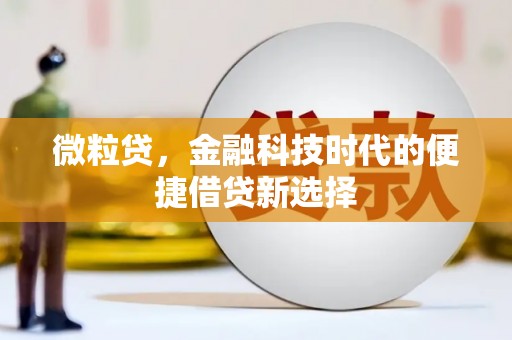 信州微粒贷，金融科技时代的便捷借贷新选择