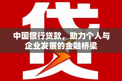 信州中国银行贷款，助力个人与企业发展的金融桥梁