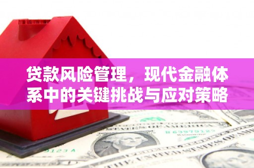 信州贷款风险管理，现代金融体系中的关键挑战与应对策略
