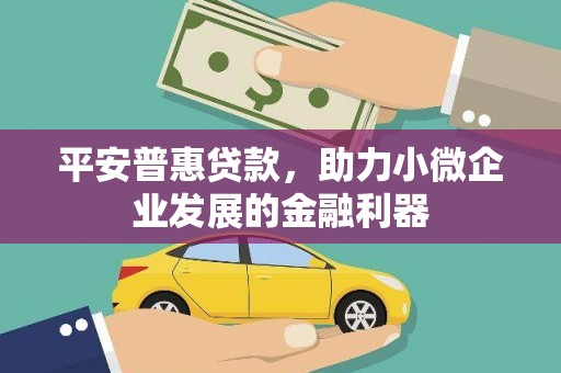 信州平安普惠贷款，助力小微企业发展的金融利器