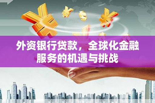 信州外资银行贷款，全球化金融服务的机遇与挑战