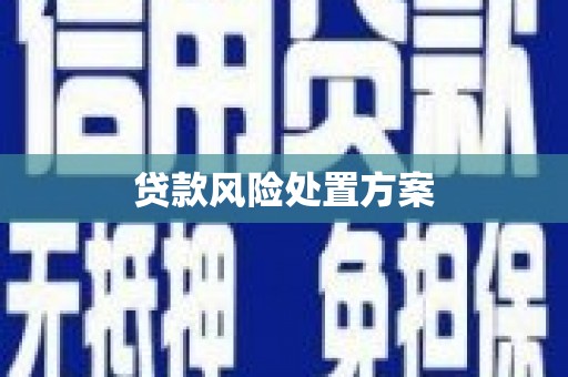 信州贷款风险处置方案