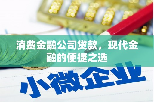 信州消费金融公司贷款，现代金融的便捷之选