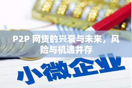 信州P2P 网贷的兴衰与未来，风险与机遇并存