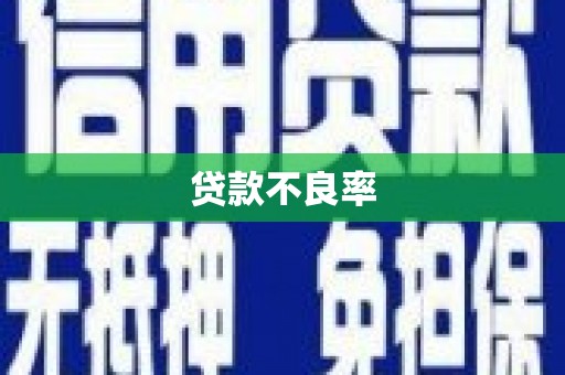 信州贷款不良率