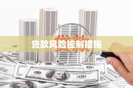 信州贷款风险控制措施