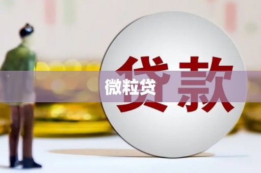 信州微粒贷