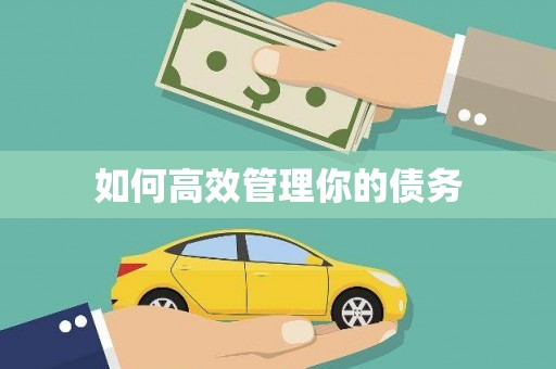 信州如何高效管理你的债务
