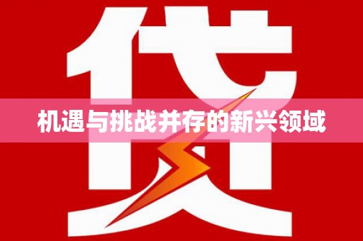 信州机遇与挑战并存的新兴领域