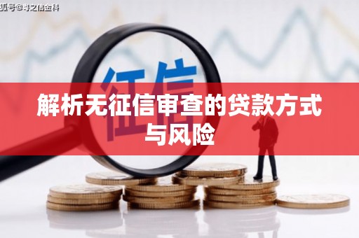 信州解析无征信审查的贷款方式与风险
