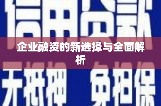 信州企业融资的新选择与全面解析