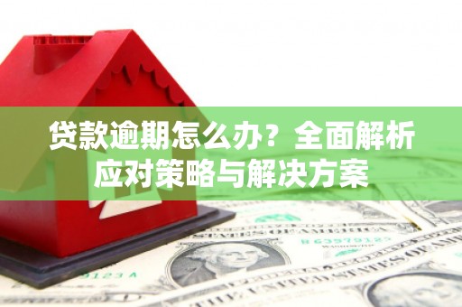 信州贷款逾期怎么办？全面解析应对策略与解决方案