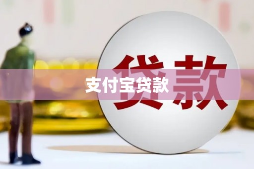 信州支付宝贷款