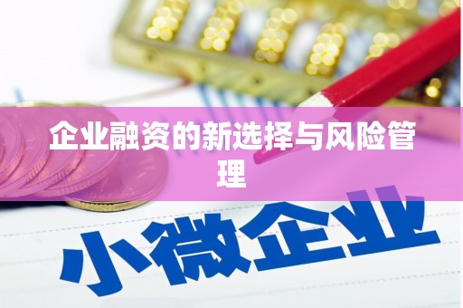信州企业融资的新选择与风险管理