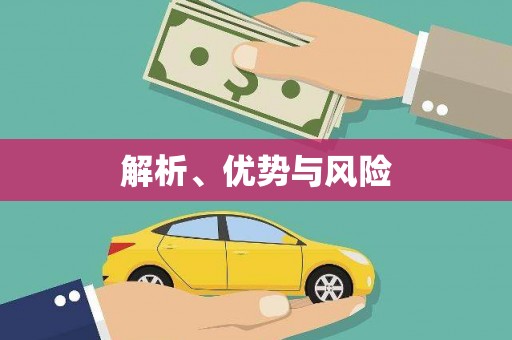 信州解析、优势与风险