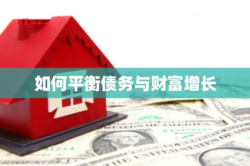 信州如何平衡债务与财富增长